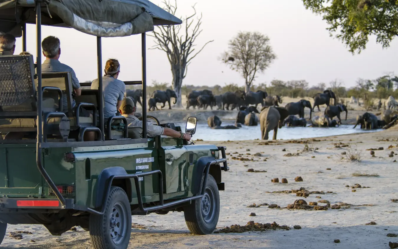 Safari vehicle with guests observing elephant herd at waterhole, Nehimba Lodge, Hwange National Park, Zimbabwe