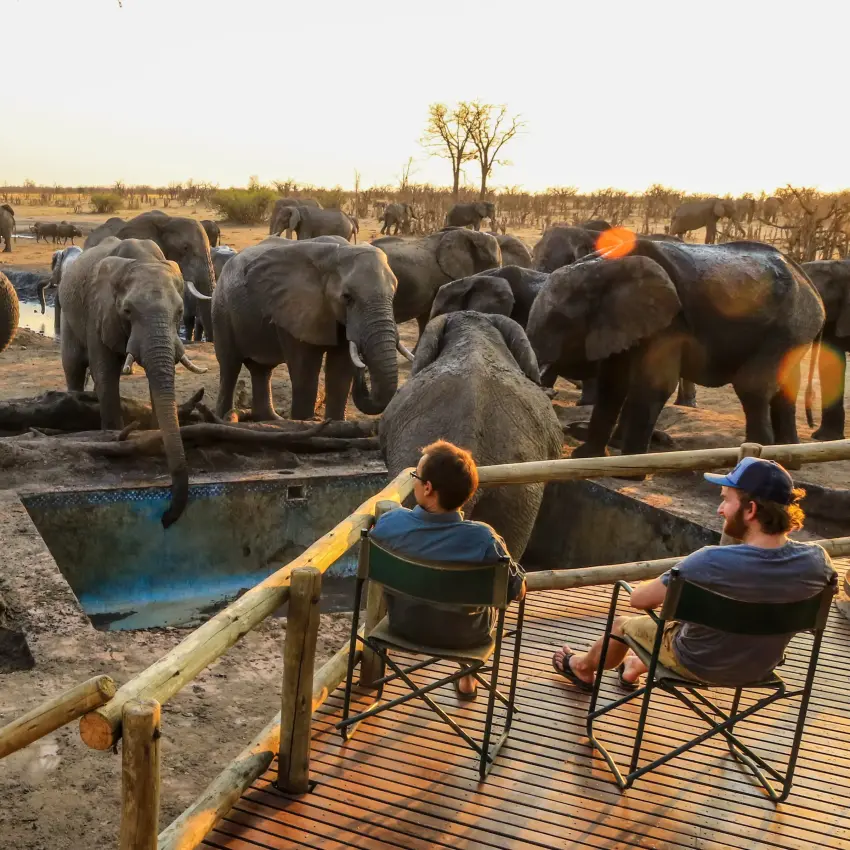 Guests watching elephants at waterhole from wooden viewing platform, Nehimba Lodge, Hwange National Park, Zimbabwe
