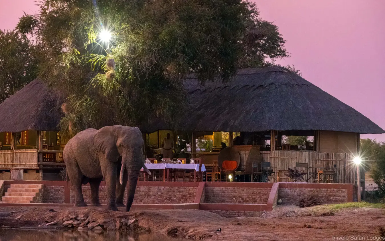 Elephant walking past illuminated lodge at dusk with thatched-roof buildings, Nehimba Lodge, Hwange National Park, Zimbabwe