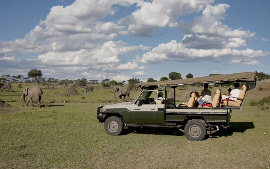 Safari vehicle with guests observing elephant herd on grassland, Ngare Serian, Maasai Mara, Kenya