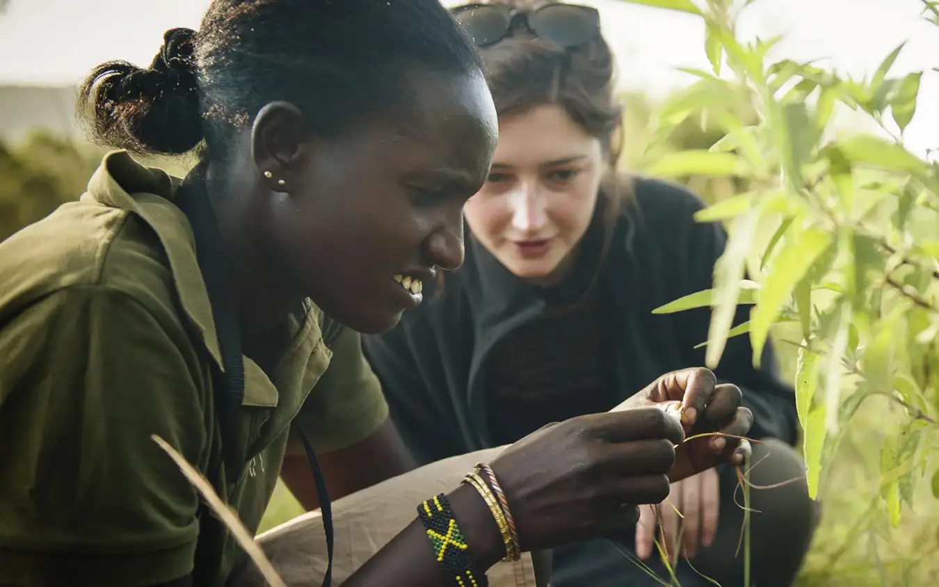 Two women examining plants during guided nature walk, Ngare Serian, Maasai Mara, Kenya