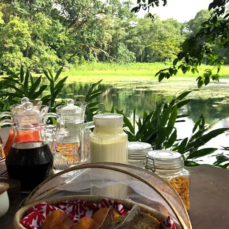 Outdoor dining setup overlooking river with refreshments, Ngare Sero Mountain Lodge, Arusha, Tanzania