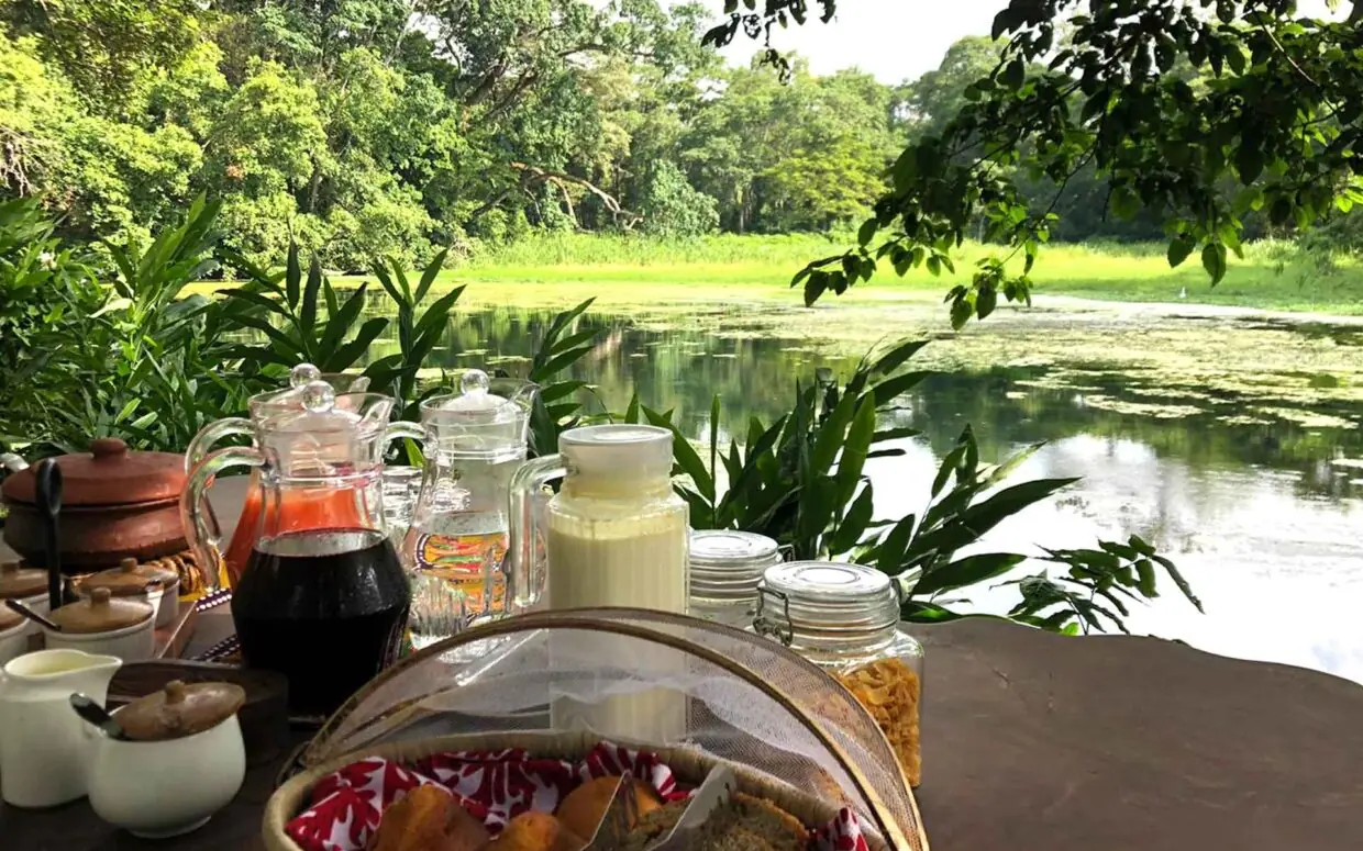 Outdoor dining setup overlooking river with refreshments, Ngare Sero Mountain Lodge, Arusha, Tanzania