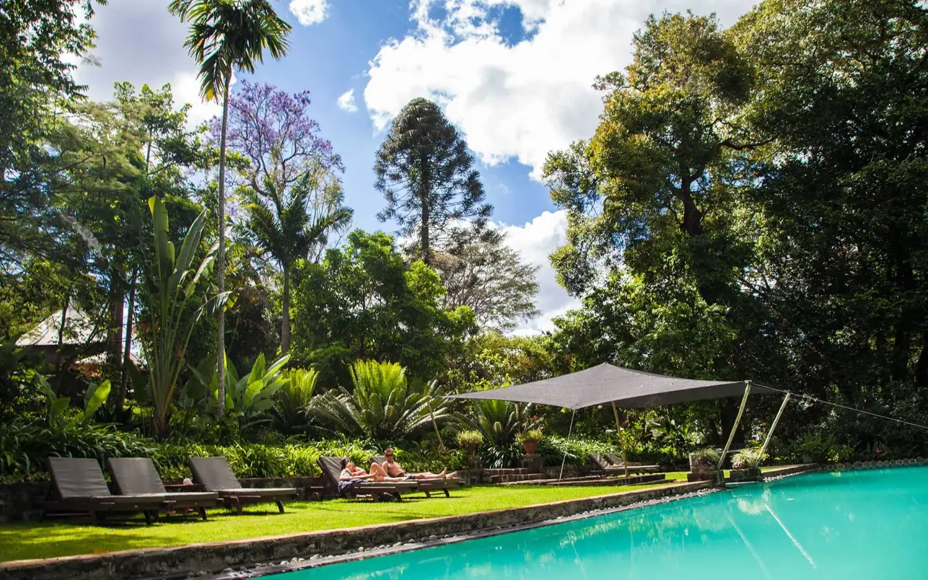 Turquoise pool with loungers and tropical garden landscape, Ngare Sero Mountain Lodge, Arusha, Tanzania