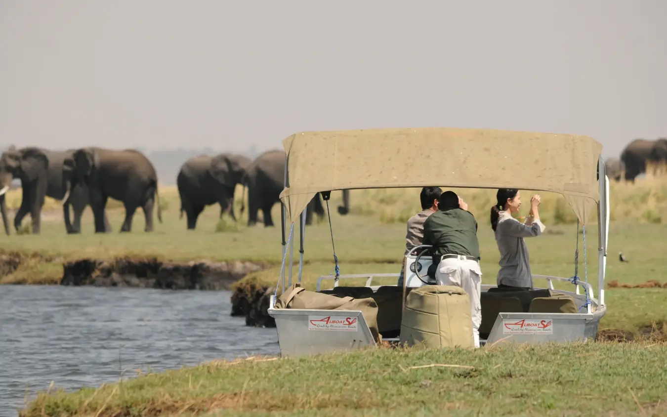 Open safari vehicle with guests viewing elephants at waterhole, Ngoma Safari Lodge, Chobe, Botswana