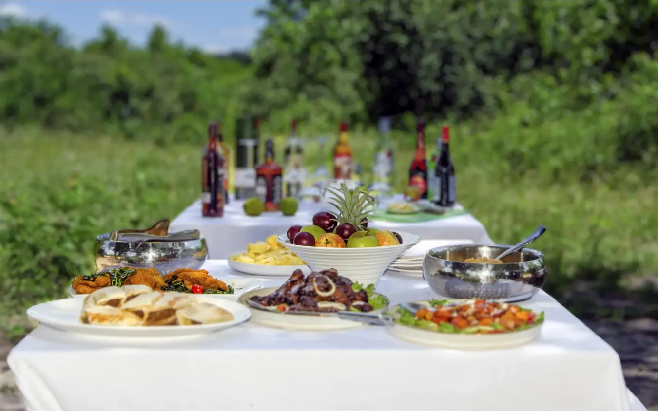 Outdoor dining table with food and wine bottles overlooking green landscape, Ngoma Safari Lodge, Chobe, Botswana