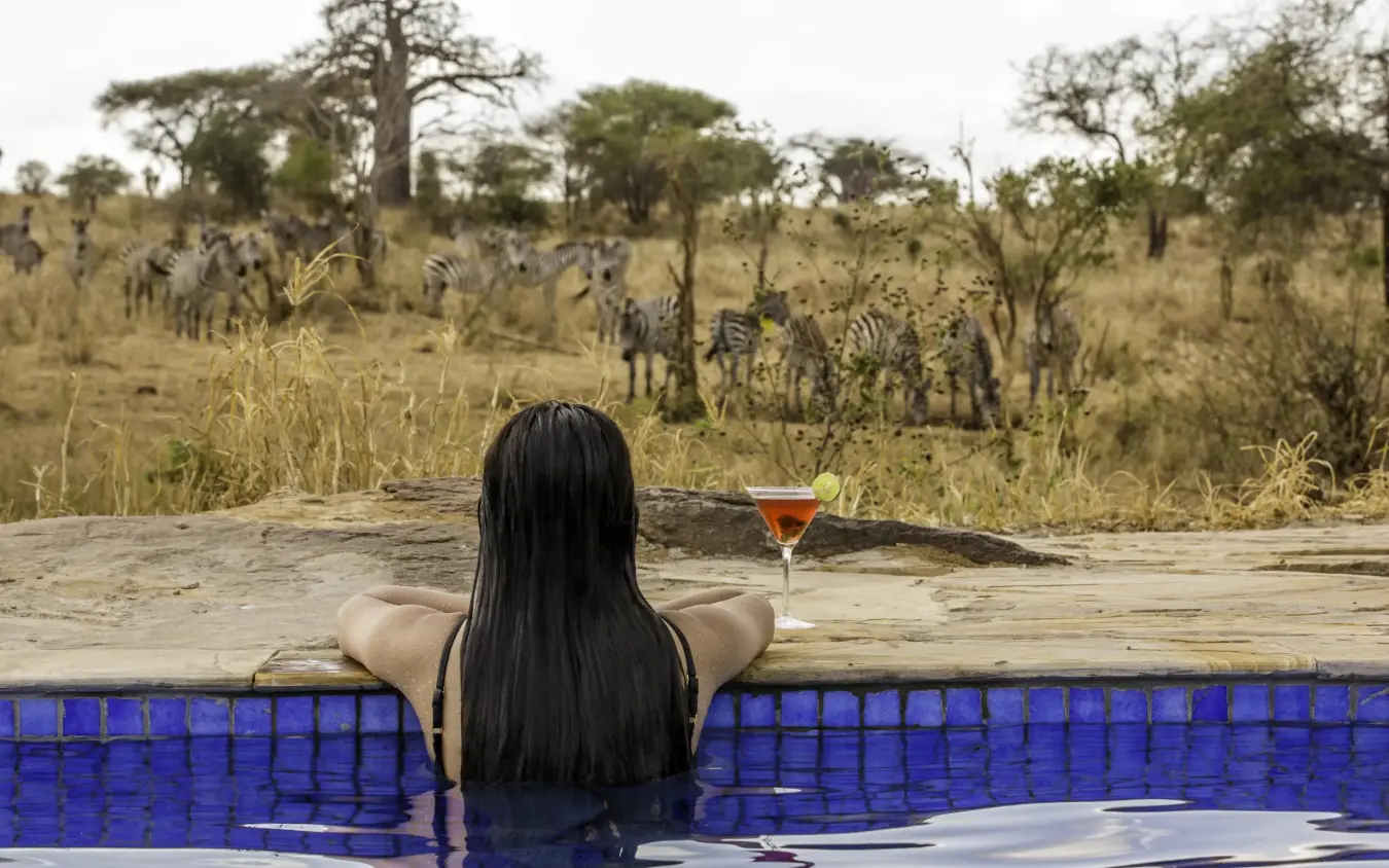 Woman relaxing in pool overlooking savanna with zebras, Nimali Tarangire, Tarangire National Park, Tanzania