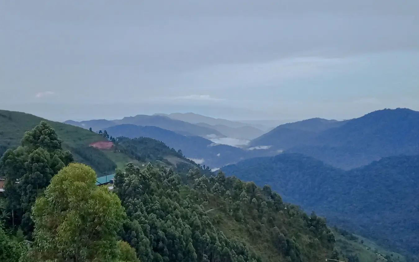 Forested mountains with valley mist and distant peaks, Nkuringo Gorilla Lodge, Bwindi Impenetrable Forest, Uganda
