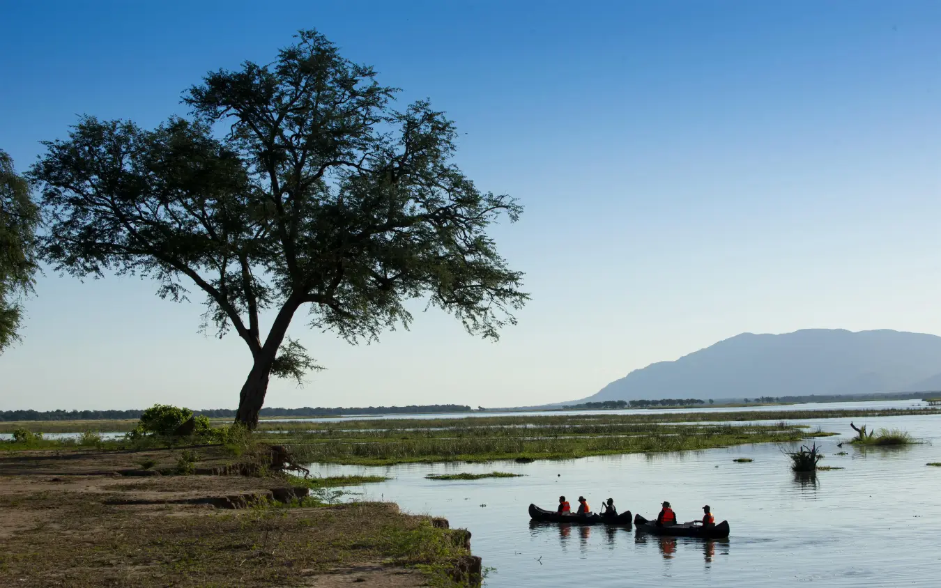 Visitors in boats on calm water near acacia tree, Nyamatusi Camp, Mana Pools, Zimbabwe