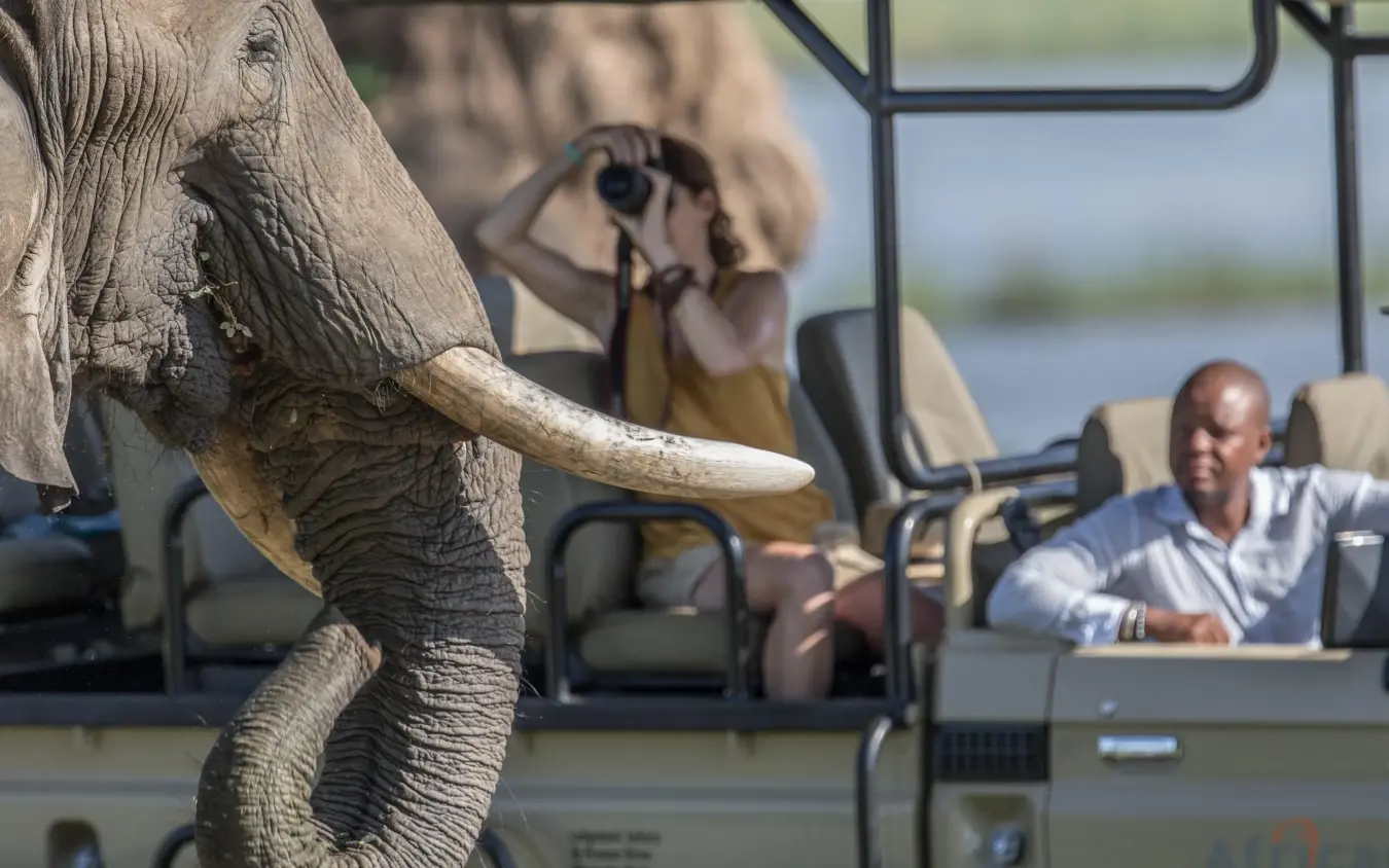 Elephant approaches open-sided safari vehicle with guests observing, Nyamatusi Camp, Mana Pools, Zimbabwe