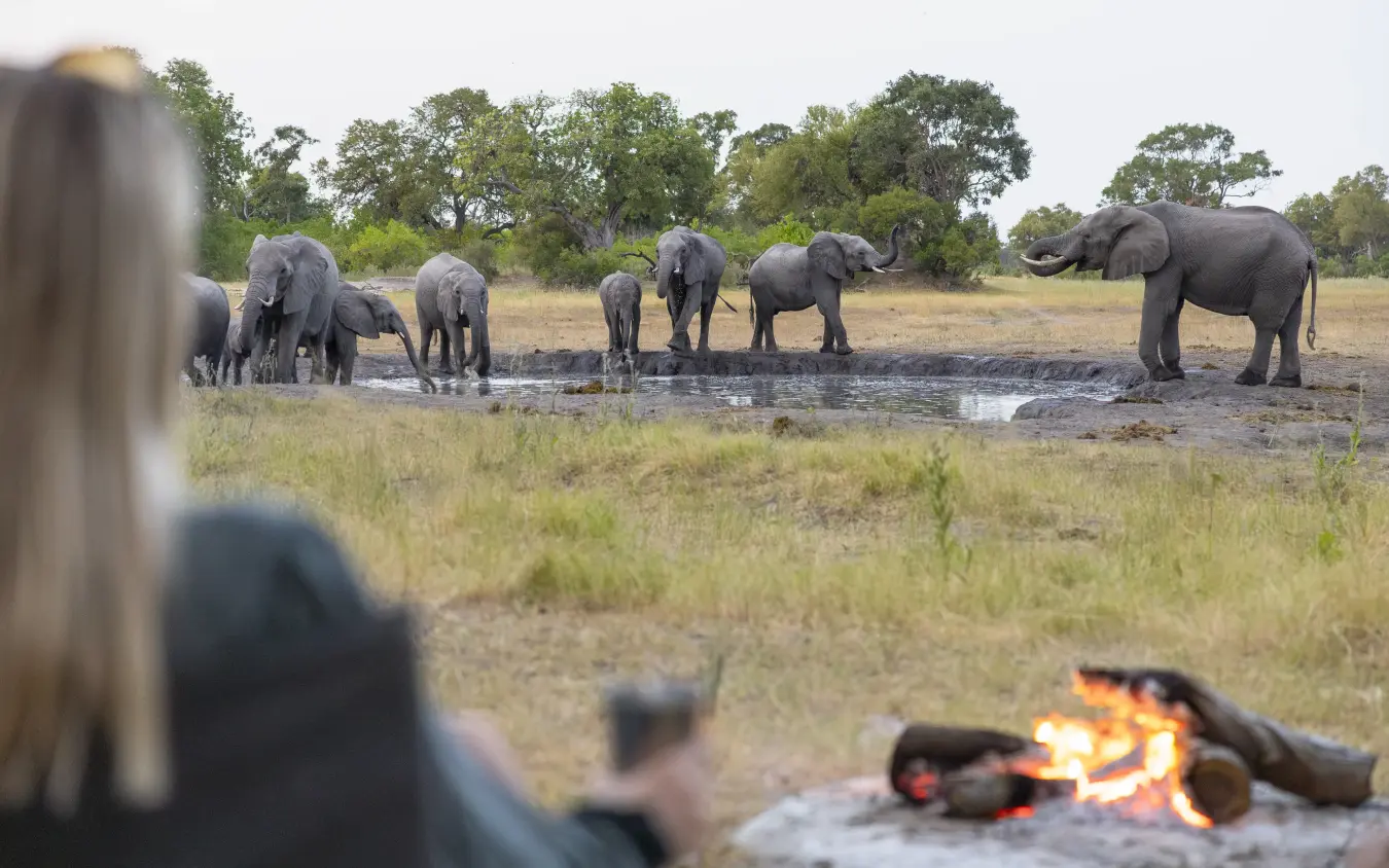 Guests observe elephant herd at waterhole from safari camp