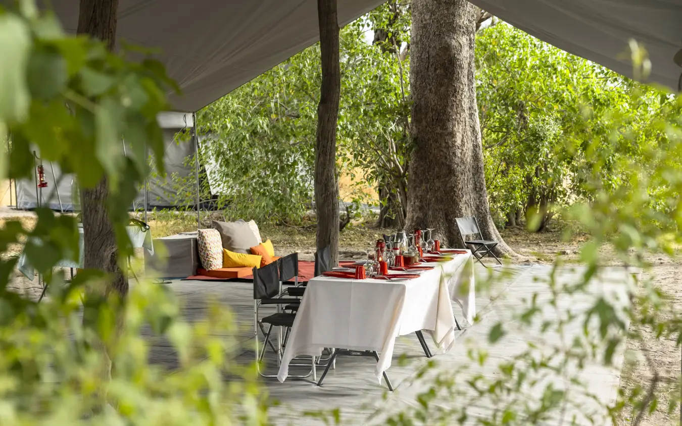Outdoor dining setup under canvas canopy with trees, Kweene Trails, The Okavango Delta, Botswana