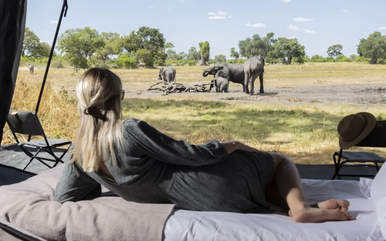 Guest relaxing on bed watching elephants at waterhole, Kweene Trails, The Okavango Delta, Botswana