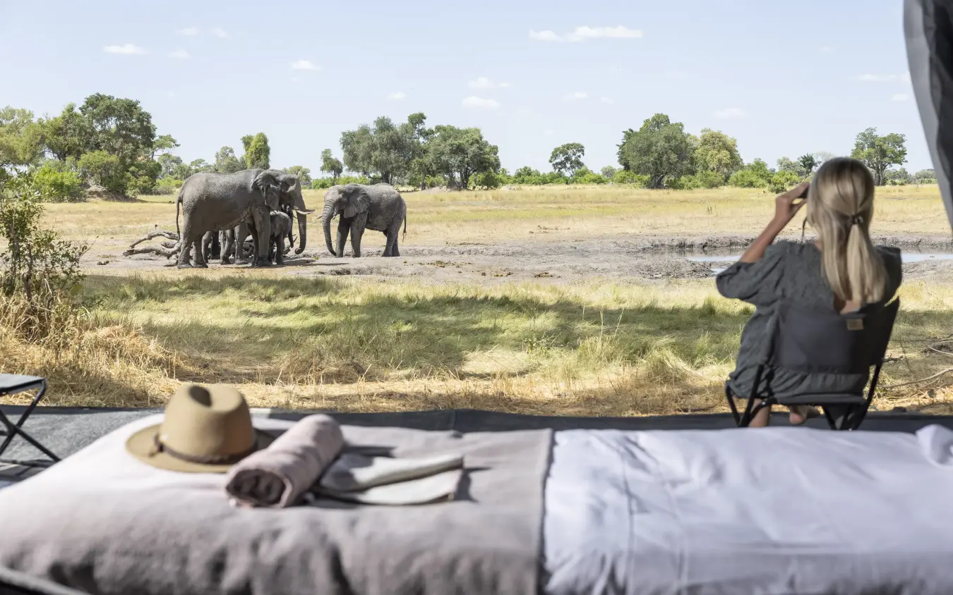Guest photographing elephants at waterhole from safari vehicle, Kweene Trails, The Okavango Delta, Botswana