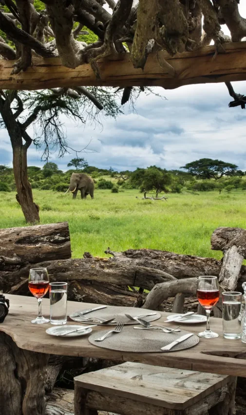 Outdoor dining table set with savanna wildlife visible beyond, Ol Donyo Lodge, Amboseli and Chyulu Hills, Kenya