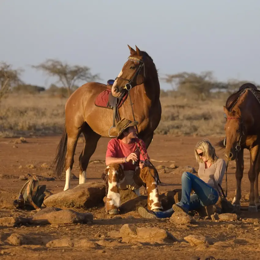 Guests interact with saddled horses in arid savanna landscape, Ol Malo Lodge, Laikipia Highlands, Kenya