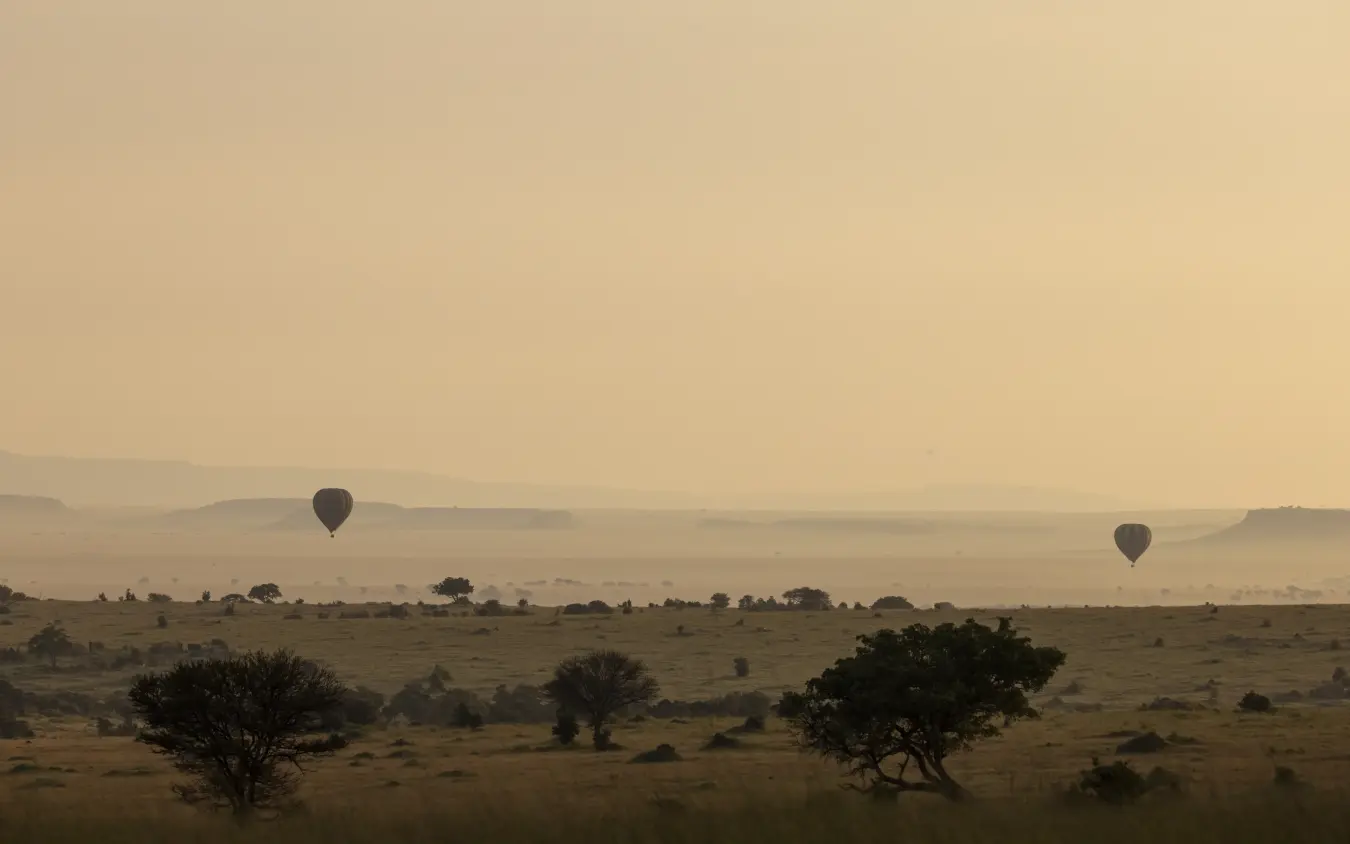Hot air balloons floating over savanna at sunrise, Olakira Migration Camp, Serengeti National Park, Tanzania