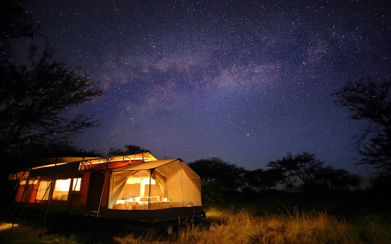 Illuminated safari tent under starry night sky, Olakira Migration Camp, Serengeti National Park, Tanzania