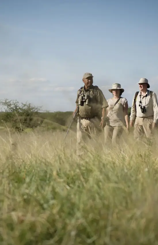 Three guides walking through tall savanna grass landscape, Oliver’s Camp, Tarangire National Park, Tanzania