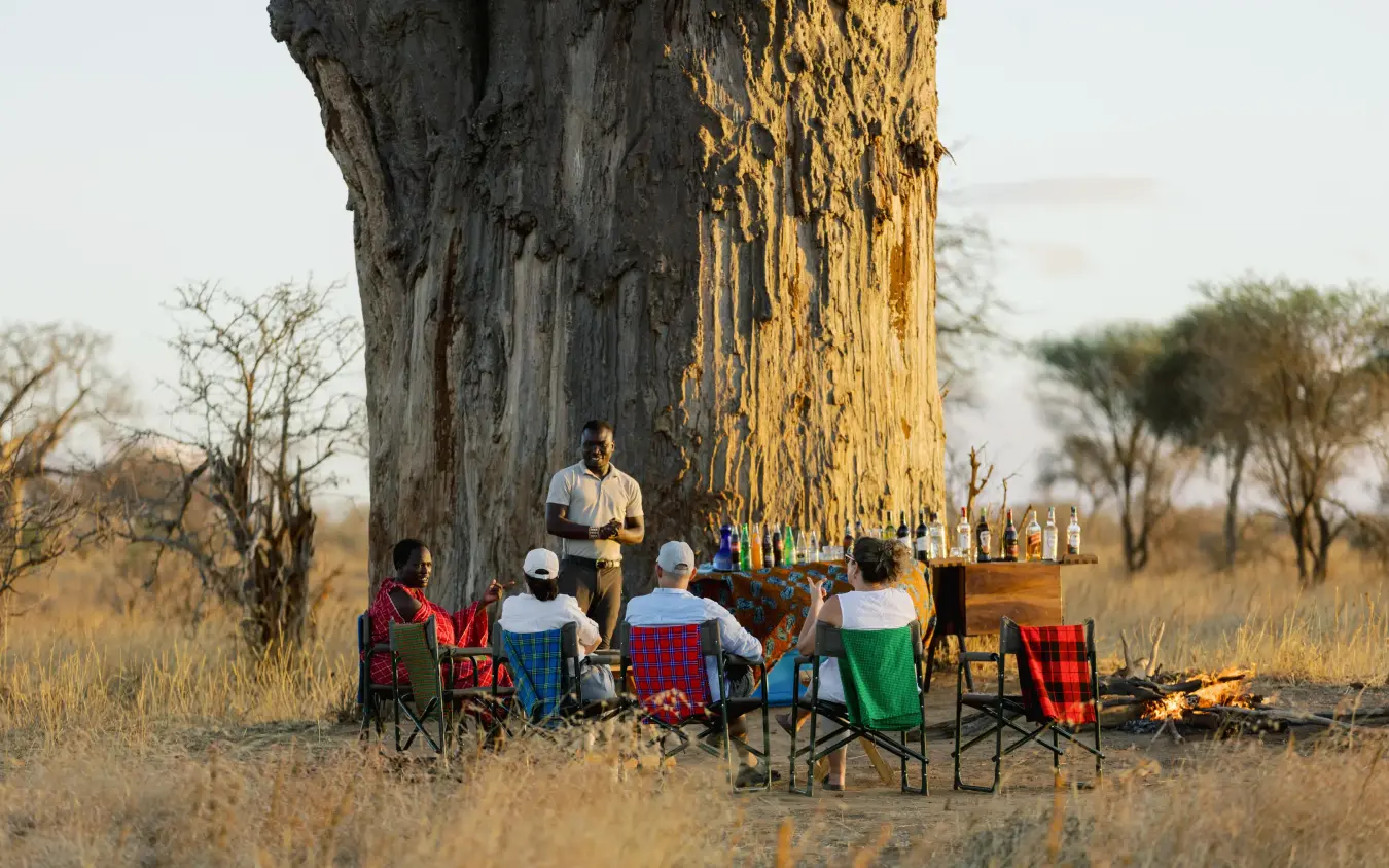 Group gathered around massive baobab tree for outdoor meal in savanna, Olkeri Camp, Tarangire National Park, Tanzania