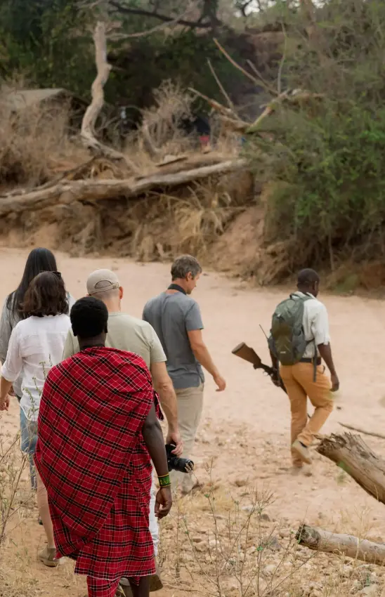 Group hiking on sandy trail with fallen trees and woodland backdrop, Olkeri Camp, Tarangire National Park, Tanzania