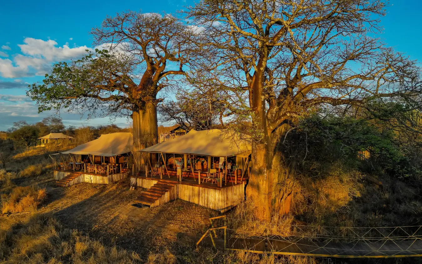 Luxury safari lodge beneath baobab trees at golden hour, Olkeri Camp, Tarangire National Park, Tanzania