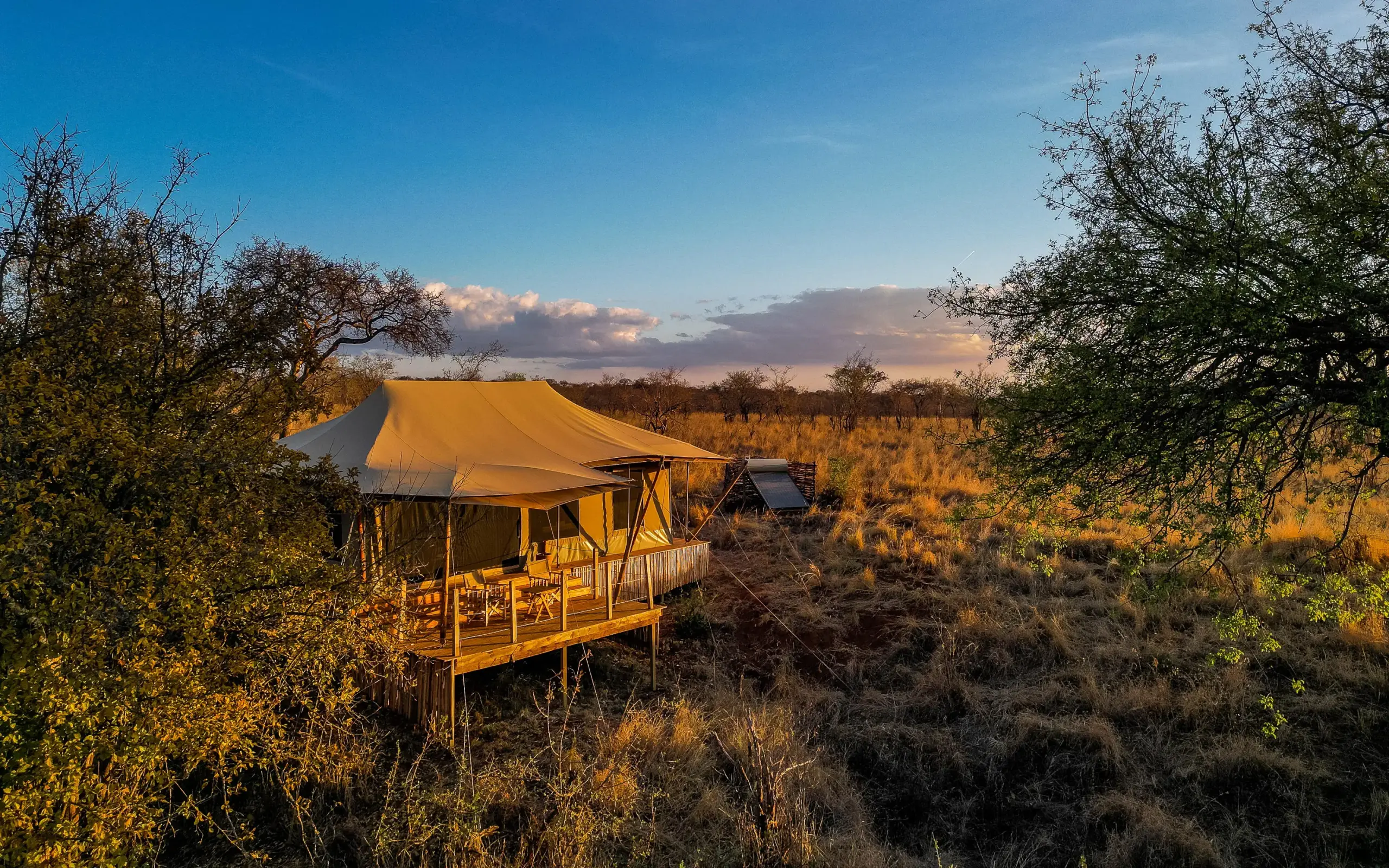 Luxury safari tent with wooden deck overlooking golden grassland at dusk, Olkeri Camp, Tarangire National Park, Tanzania