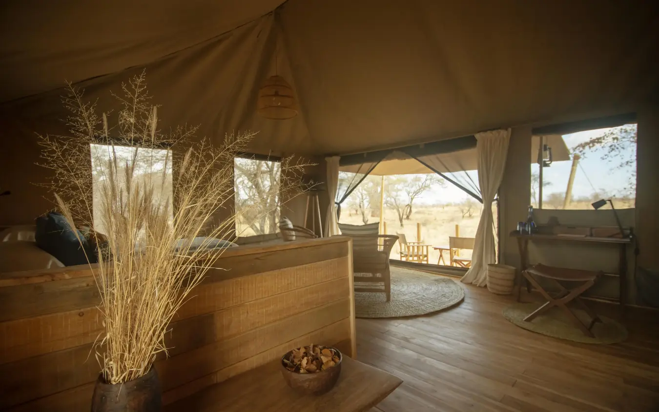 Safari tent interior with wooden furnishings and savanna views, Olkeri Camp, Tarangire National Park, Tanzania