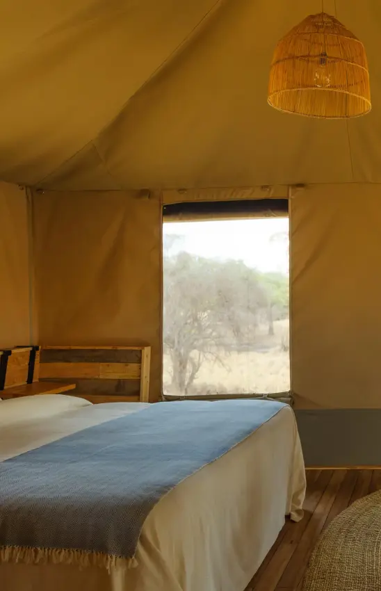 Canvas safari tent bedroom with view of savanna woodland landscape, Olkeri Camp, Tarangire National Park, Tanzania