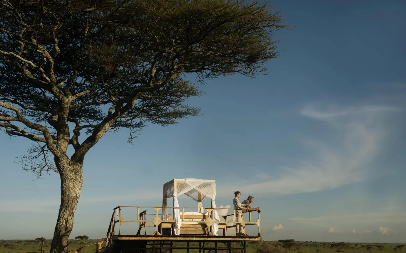 Guests on safari vehicle platform with acacia tree, Olmara Serengeti, Serengeti National Park, Tanzania
