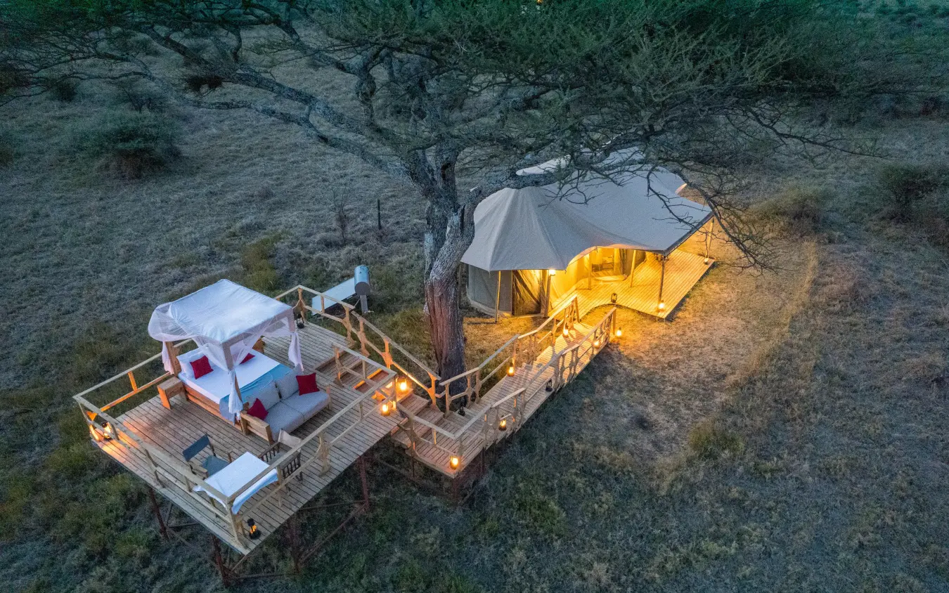 Illuminated safari camp tents on wooden deck at dusk, Olmara Serengeti, Serengeti National Park, Tanzania