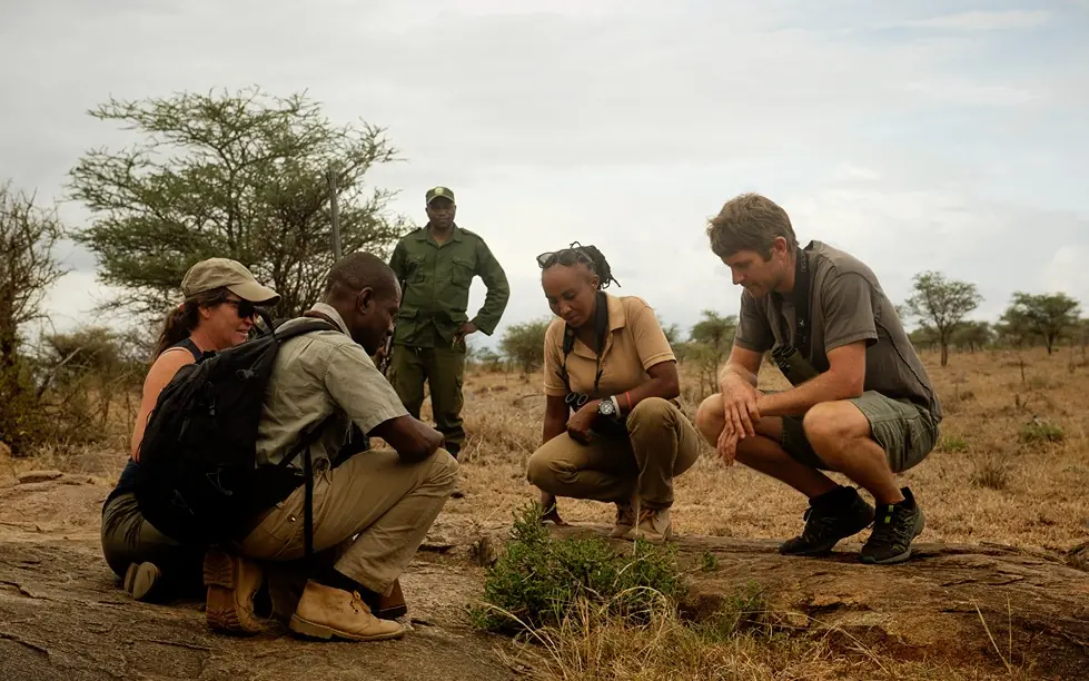 Guide leading group of tourists examining wildlife tracking in savanna, Olmara Serengeti, Serengeti National Park, Tanzania