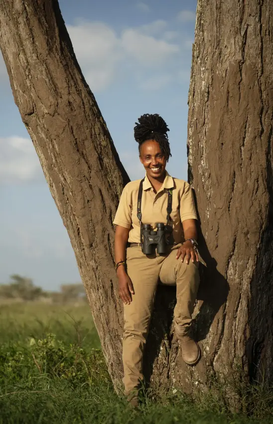 Safari guide in khaki uniform holding binoculars near tree, Olmara Serengeti, Serengeti National Park, Tanzania