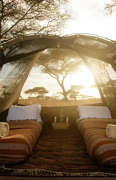 Safari tent interior with two beds and acacia trees, Olmara Serengeti, Serengeti National Park, Tanzania