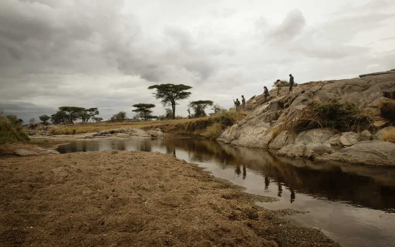 River valley with acacia trees and sandy banks, Olmara Serengeti, Serengeti National Park, Tanzania