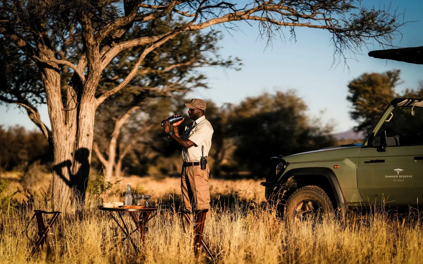 Safari guide using binoculars near vehicle and acacia tree, Omaanda, Windhoek, Namibia
