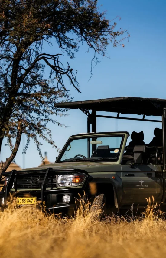 Safari vehicles with guests under acacia tree in savanna, Omaanda, Windhoek, Namibia