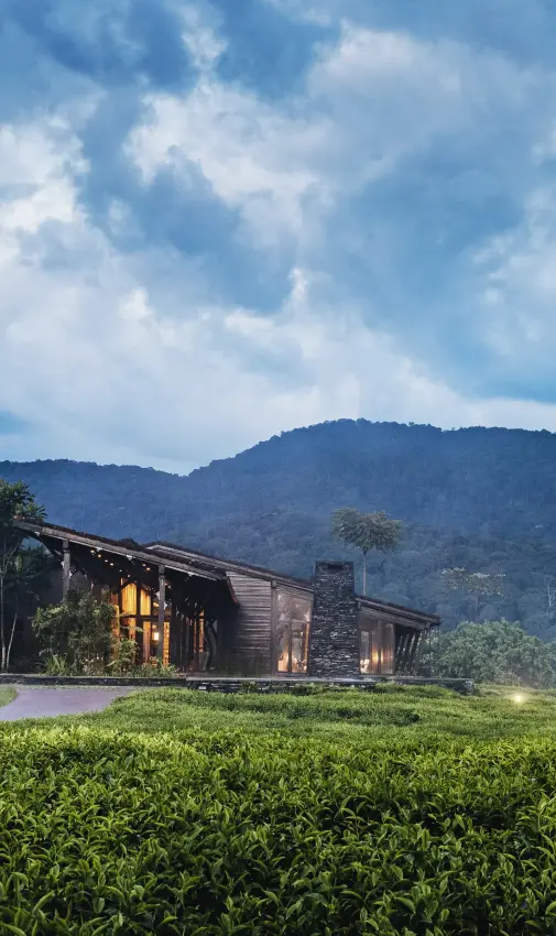 Modern lodge building illuminated at dusk in tea plantation valley, Nyungwe House, Nyungwe Forest, Rwanda