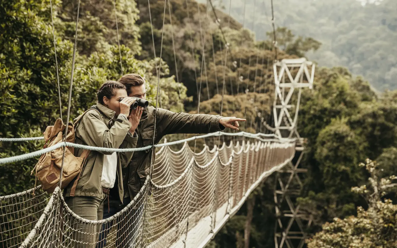 Guests on suspended bridge observing forest canopy landscape, Nyungwe House, Nyungwe Forest, Rwanda
