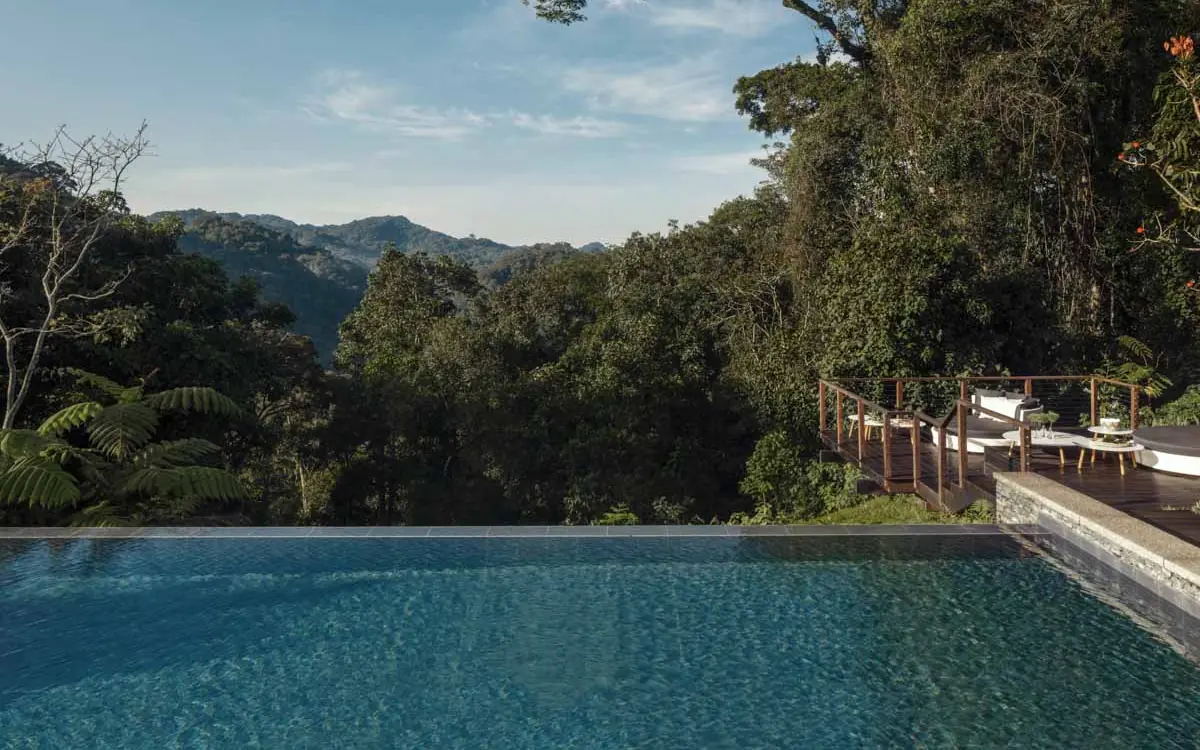 Infinity pool overlooking forested valley and mountains, Nyungwe House, Nyungwe Forest, Rwanda