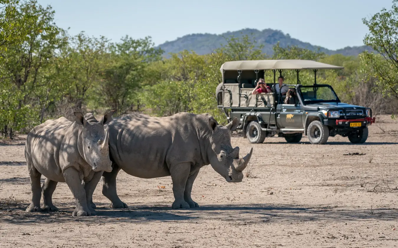 Safari vehicle with tourists observing rhinoceros on game drive, Ongava Lodge, Etosha National Park, Namibia