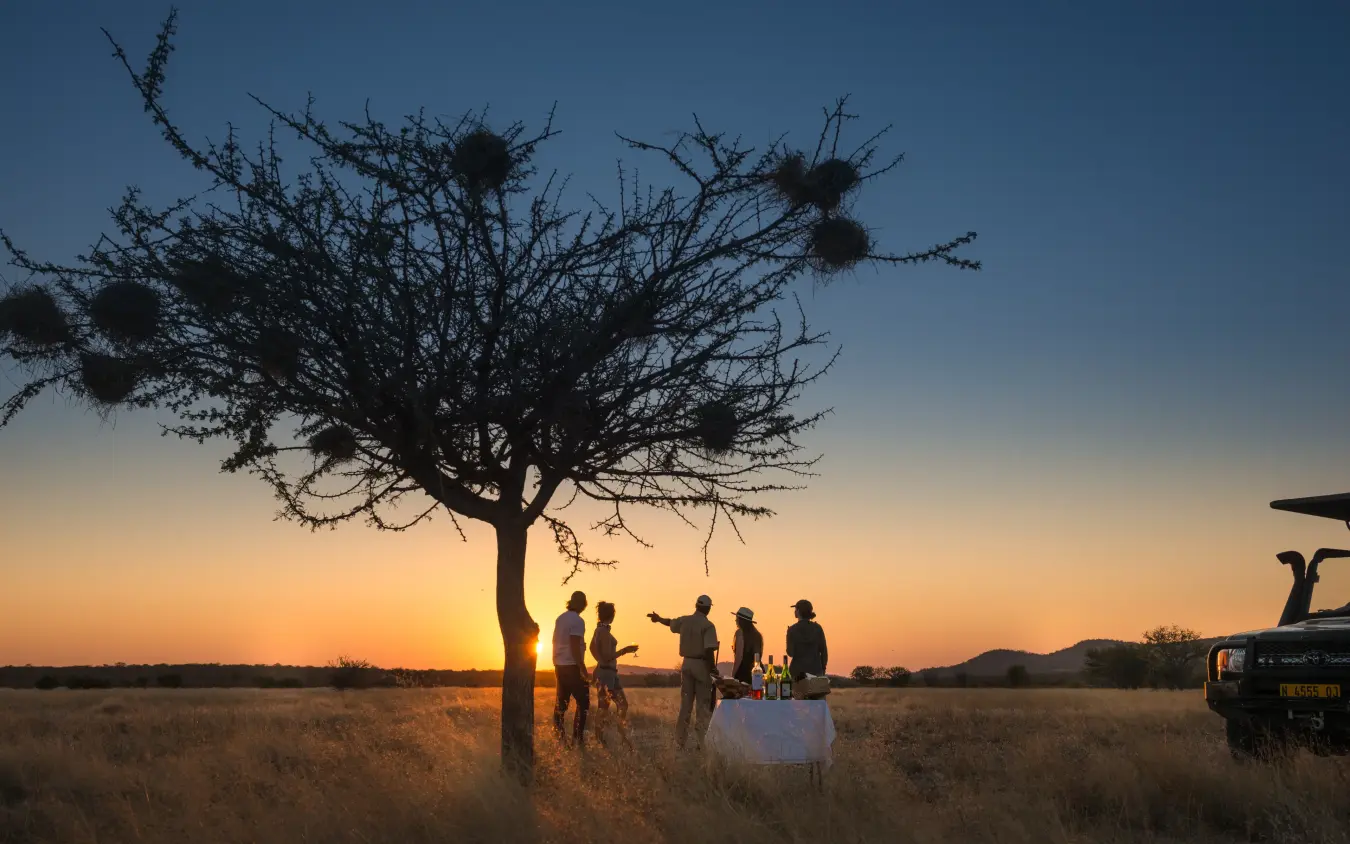 Guests gathered under acacia tree at sunset during safari game drive, Ongava Lodge, Etosha National Park, Namibia