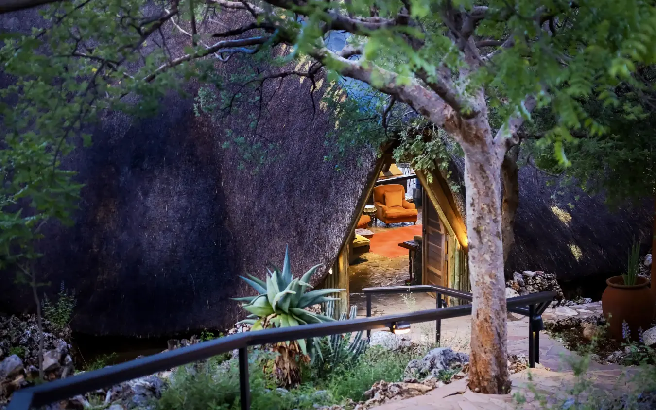 Thatched-roof lodge entrance framed by ancient gnarled tree with succulents, Ongava Lodge, Etosha National Park, Namibia