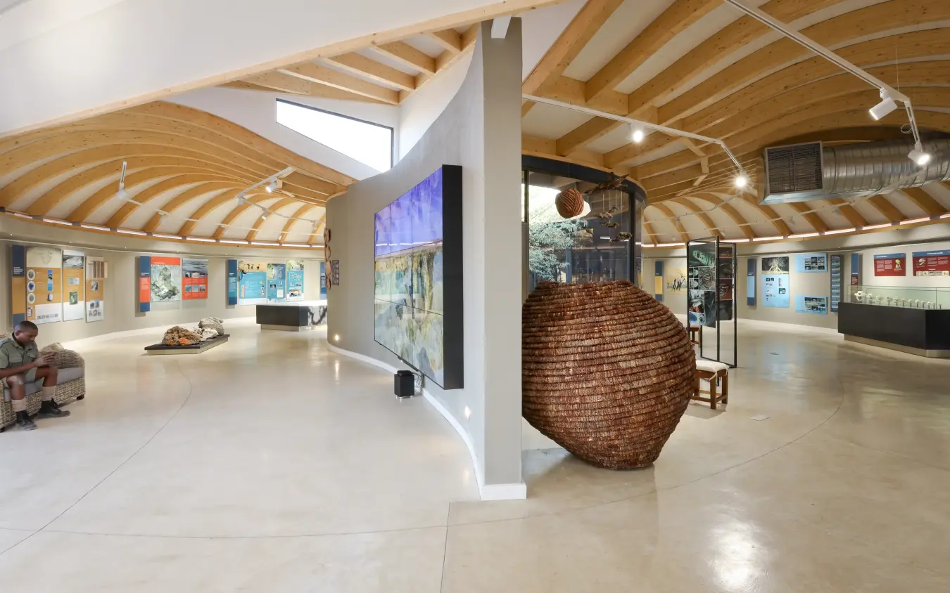 Modern museum interior with curved wooden ceiling and brick sculptural installation, Ongava Lodge, Etosha National Park, Namibia