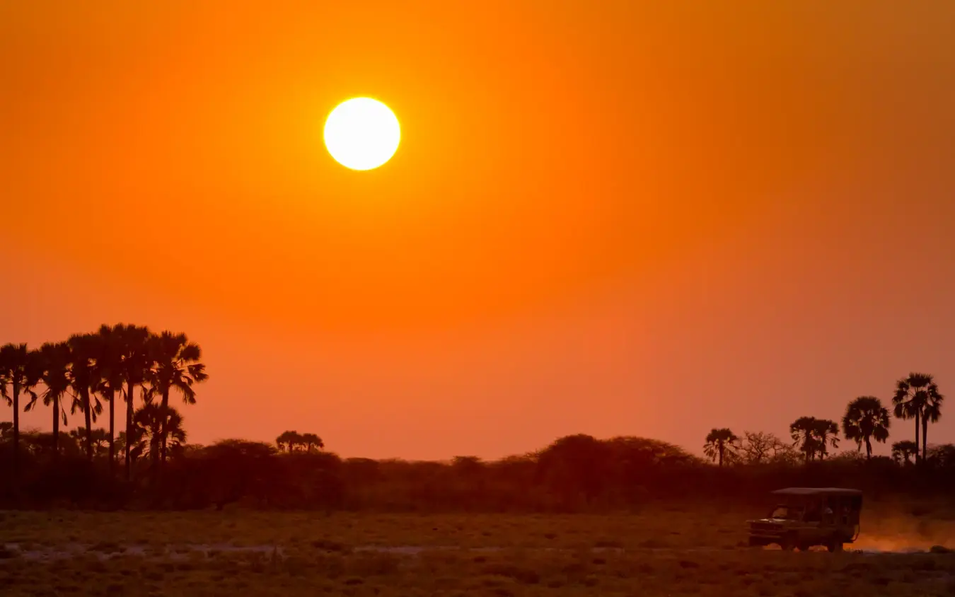 Safari vehicle crossing dusty plain at sunset with palm trees silhouetted, Onguma Tented Camp, Etosha National Park, Namibia