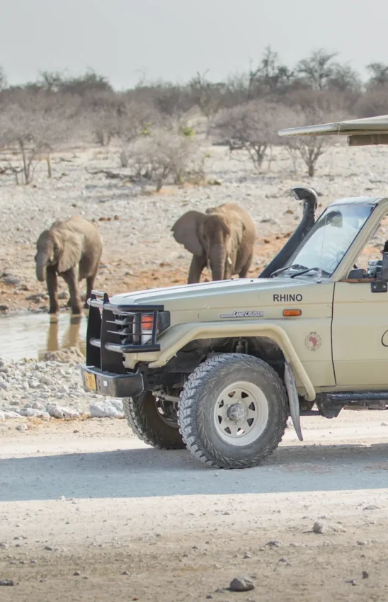 Safari vehicle observing elephants at waterhole during game drive, Onguma Tented Camp, Etosha National Park, Namibia