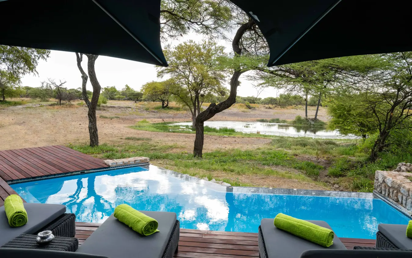 Infinity pool overlooking waterhole and acacia trees at safari lodge, Onguma Tented Camp, Etosha National Park, Namibia