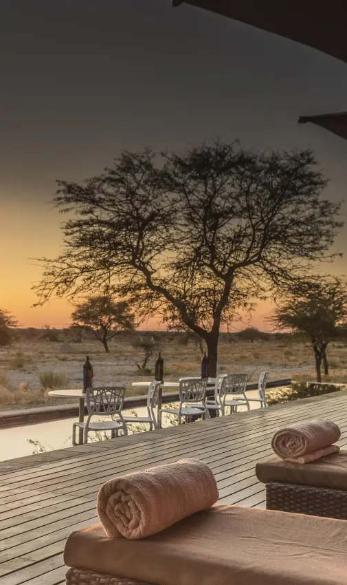 Wooden deck overlooking savanna at sunset with acacia trees, Onguma The Fort, Etosha National Park, Namibia