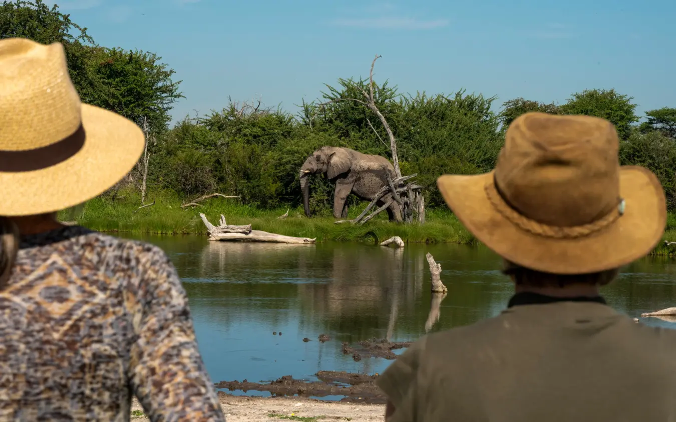 Tourists observing elephant at waterhole from safari vehicle, Onguma Trails Camp, Etosha National Park, Namibia