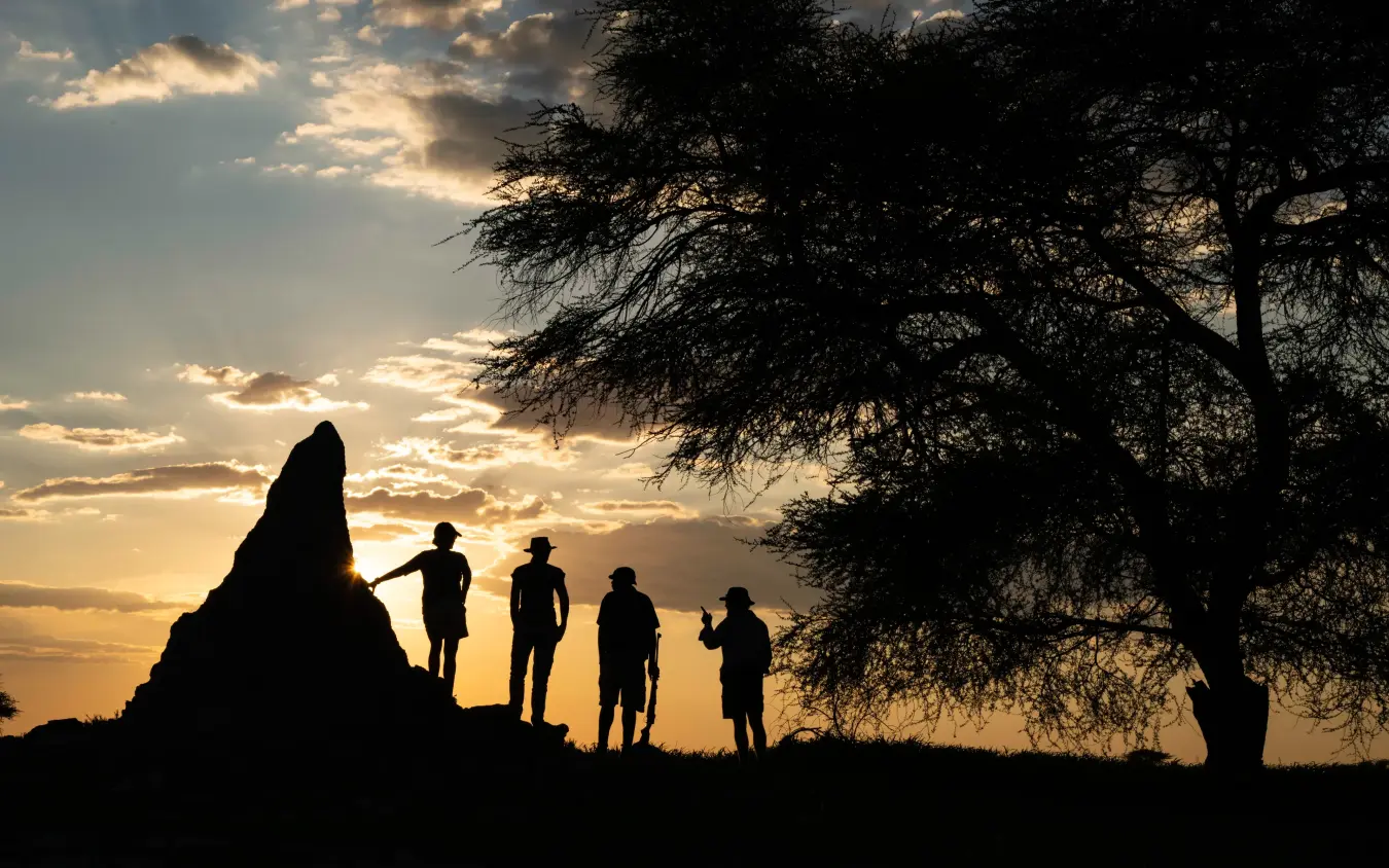 Silhouetted group standing on rock outcrop at sunset with acacia tree, Onguma Trails Camp, Etosha National Park, Namibia